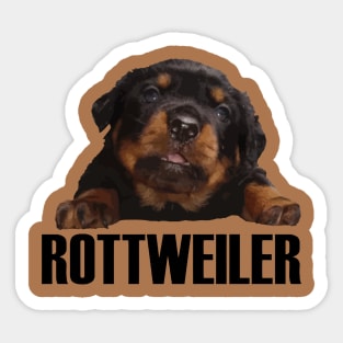 Rottweiler Lover Cute Baby Rottie Cut Out Sticker